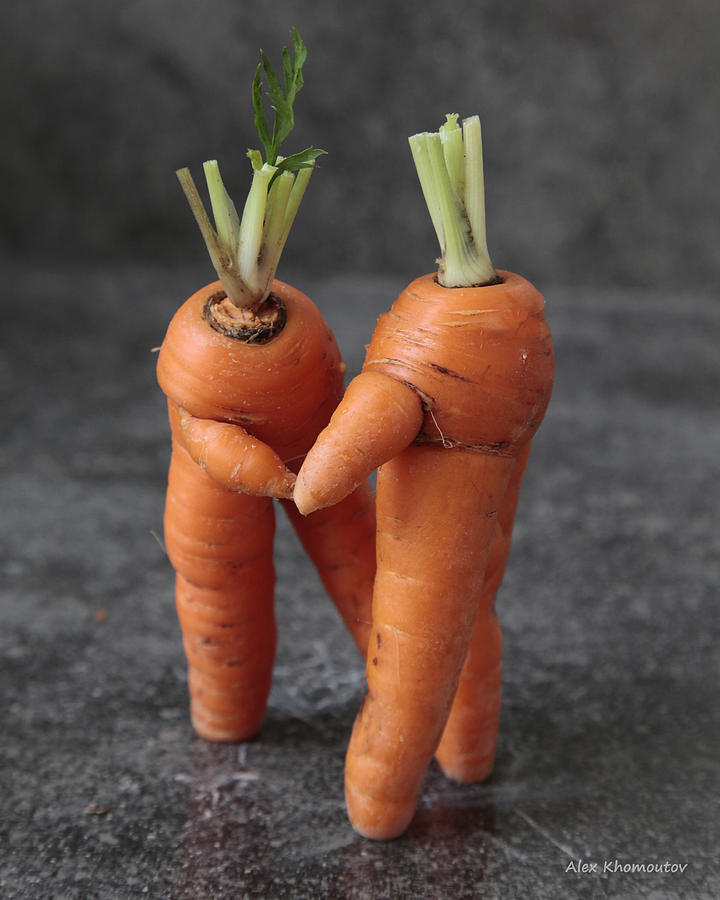 Dance With Me - Funny Art - Comic Dancing Carrot Couple - Good Luck in ...