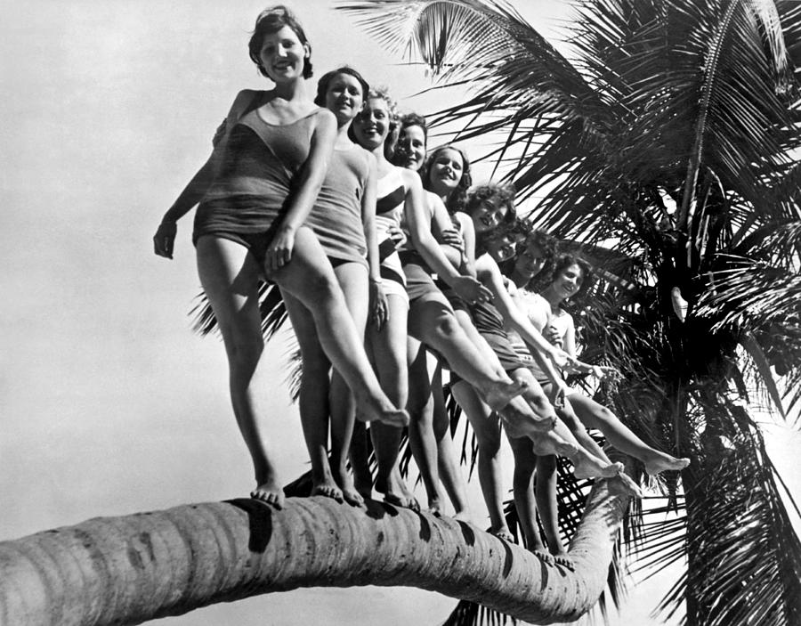 Dancers Practice On Palm Tree Photograph by Underwood Archives