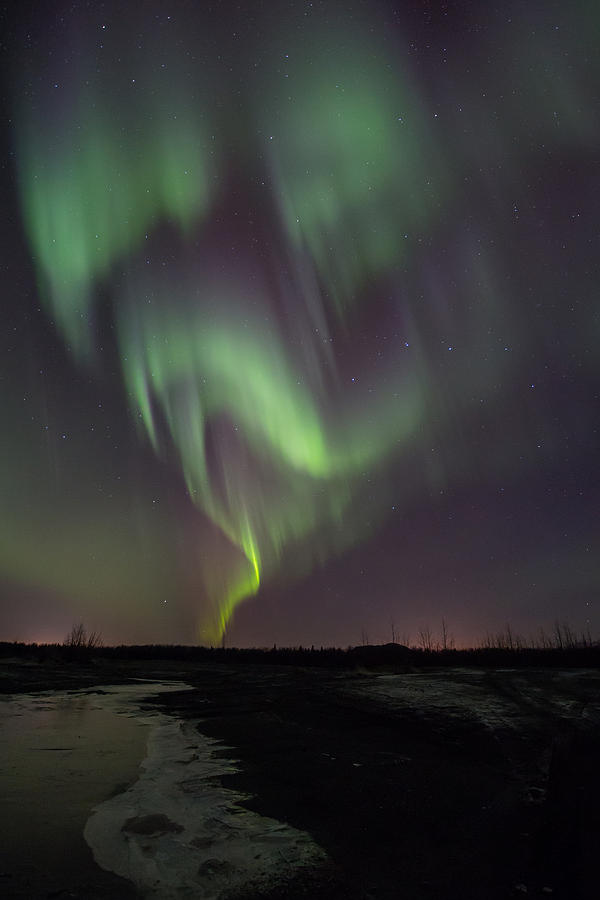Dancing Alaska Northern Lights Photograph by Sam Amato