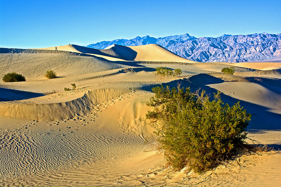 Dancing Dunes in Mesquite Flat Sand Dunes in Death Valley National Park ...