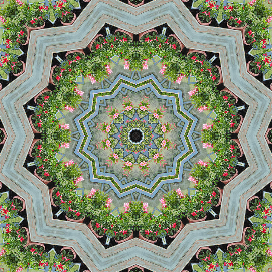 Dancing Mandevilla Blossom Kaleidoscope Photograph by Kathy Clark
