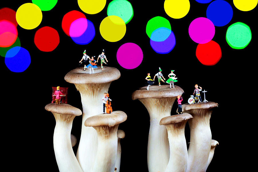 Mushroom Photograph - Dancing on mushroom under starry night by Paul Ge