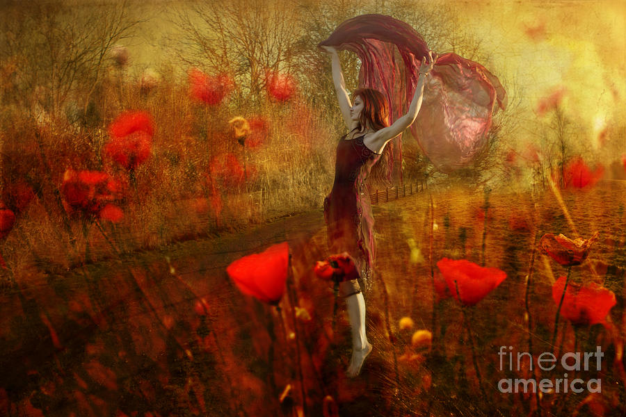Fairy Photograph - Dancing On The Poppy Field  by Ang El
