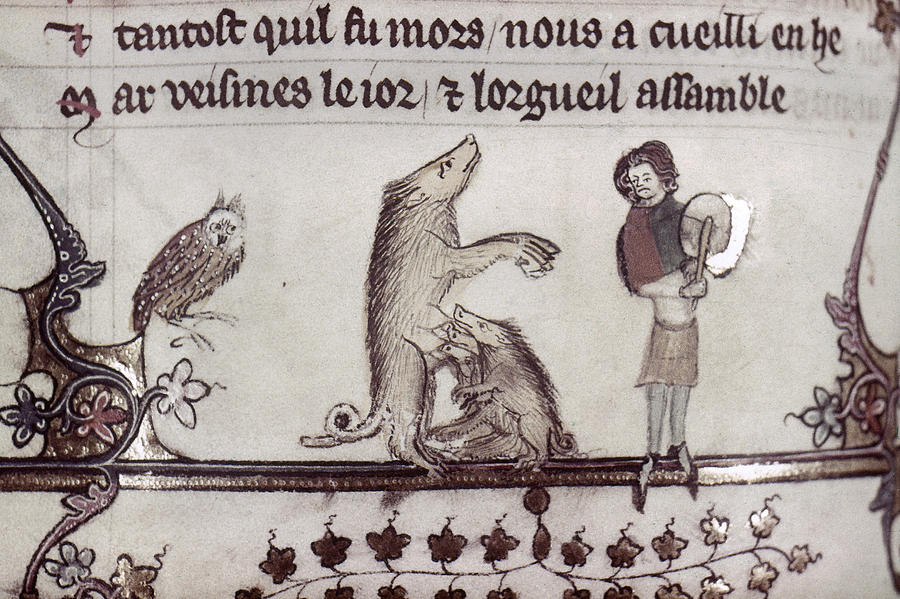 Dancing Pig, 14th Century Painting by Granger