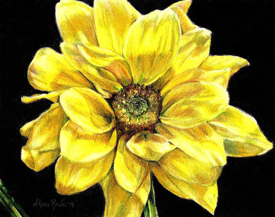 Dancing Yellow Daisy Painting by Shana Rowe Jackson