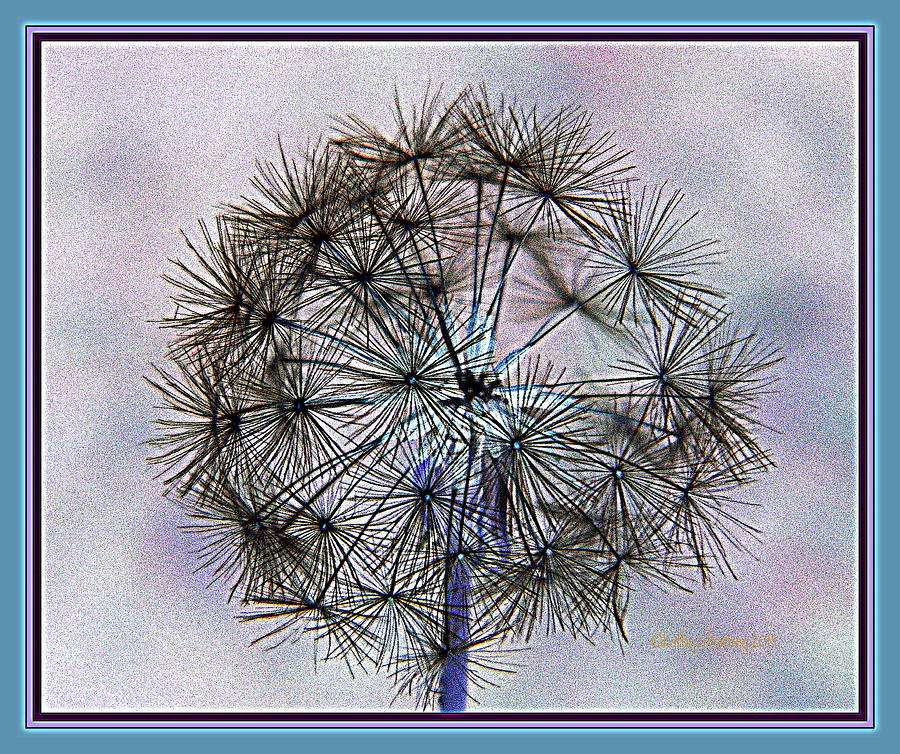 Dandelion Blue and Purple Photograph by Kathy Barney