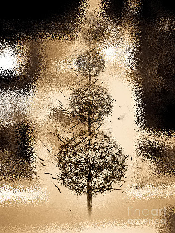 Dandelion Dream Digital Art by Fei A