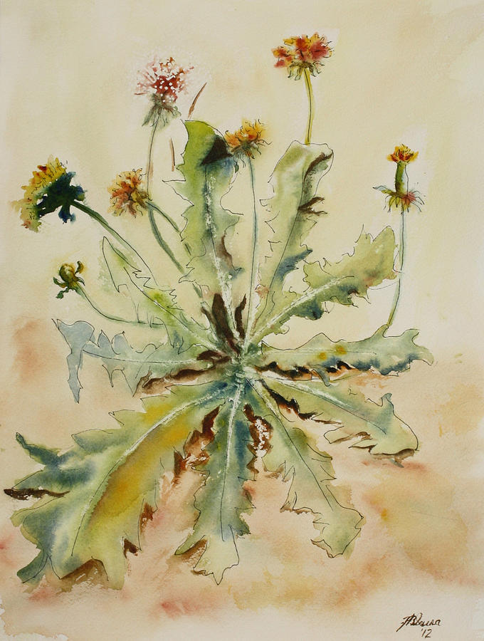 Dandelion Painting by Joyce Ann Burton-Sousa