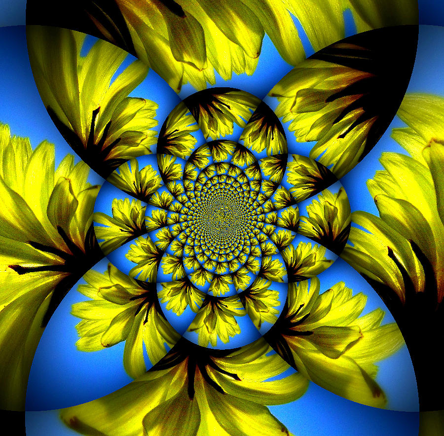 Dandelion Kaleidoscope Photograph by Sheri McLeroy