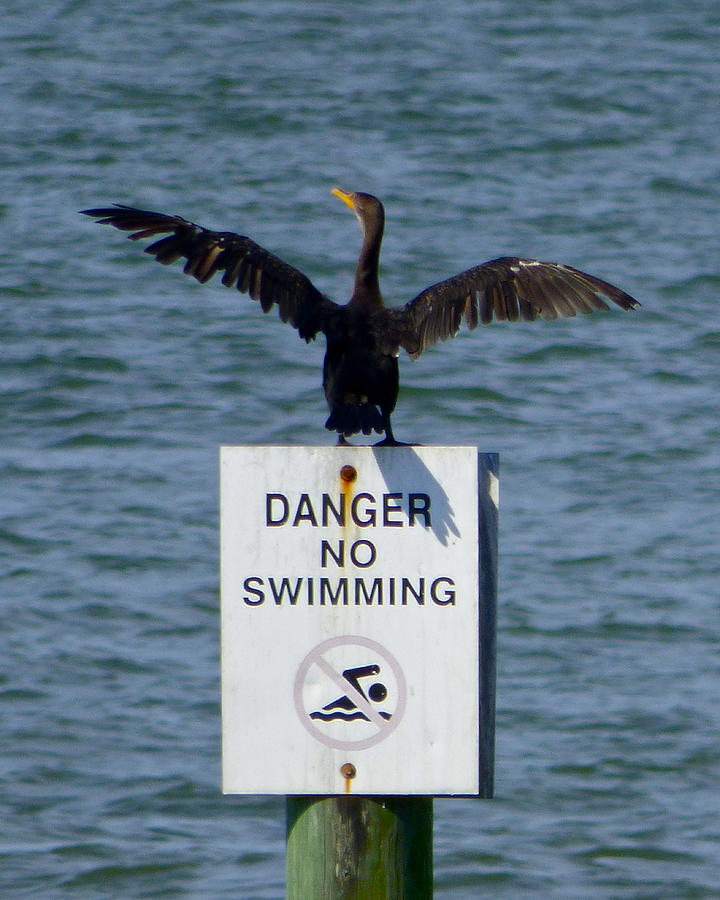 Danger No Swimming Photograph by Jean Wright