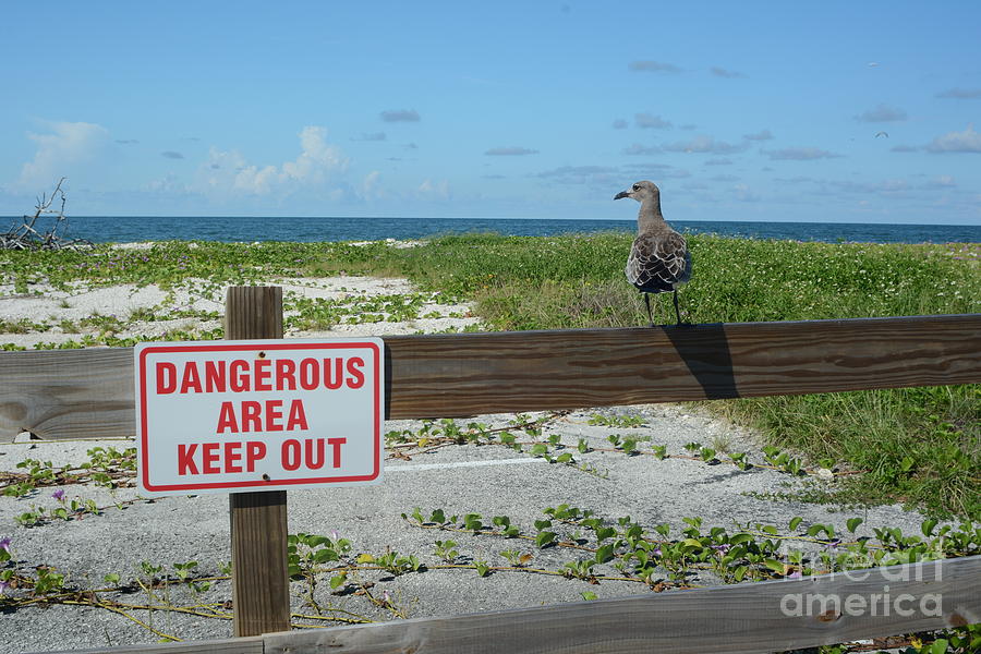 Danger Zone Photograph by John Greco