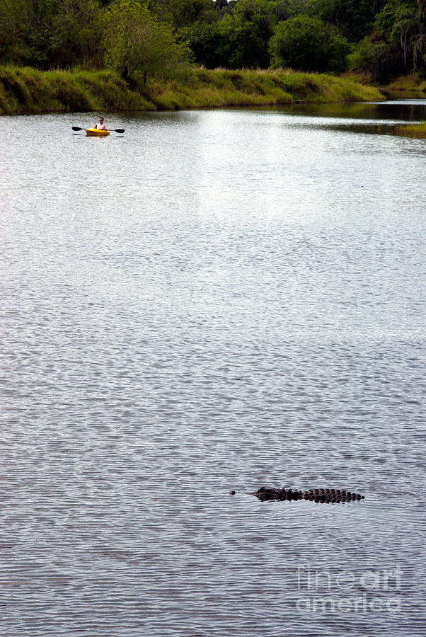 Dangerous Kayaking Photograph by Mark Newman
