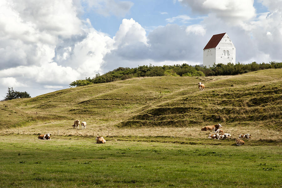 Landscape Photograph - Danish landsccape by Mike Santis