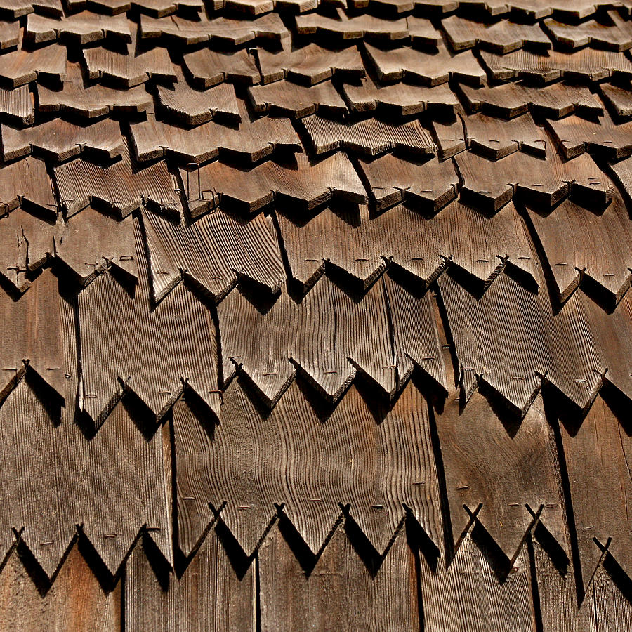 Danish Roof Shingles Photograph by Art Block Collections