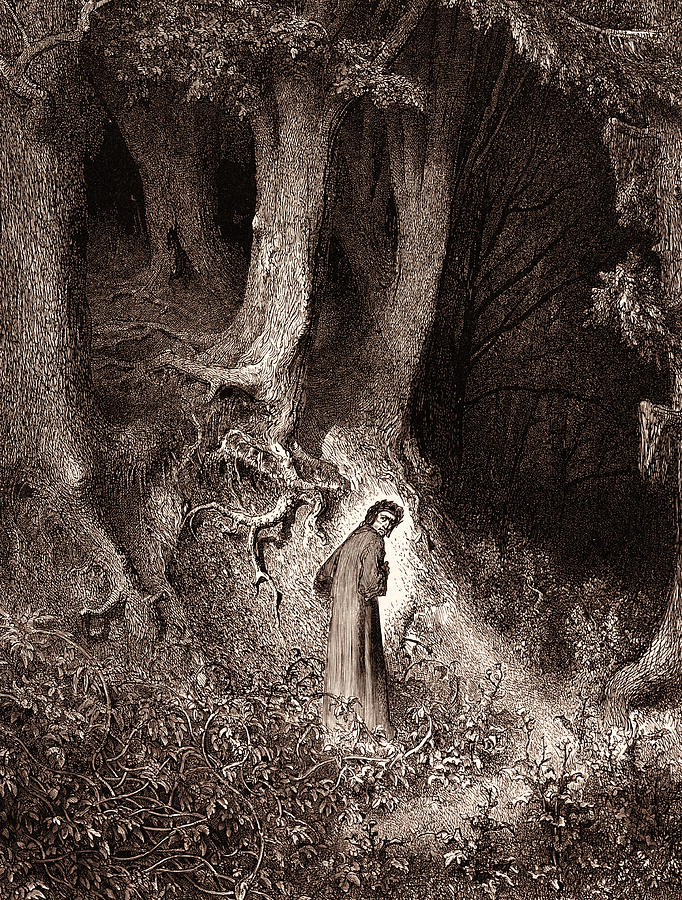 Dante In The Gloomy Wood Drawing by Litz Collection - Fine Art America