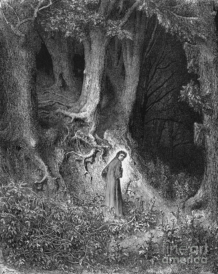 Dantes Inferno, The Gloomy Wood Photograph by Middle Temple Library