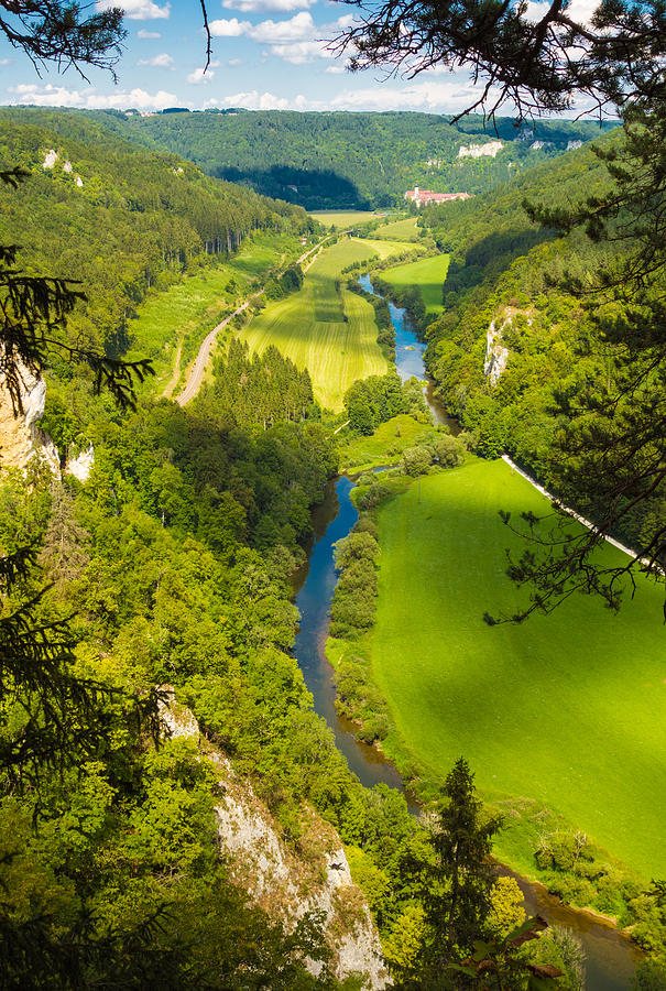 Danube valley beautiful green trees and meadows Photograph by Matthias Hauser