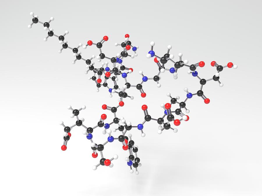 Daptomycin Antibiotic Molecule Photograph by Indigo Molecular Images