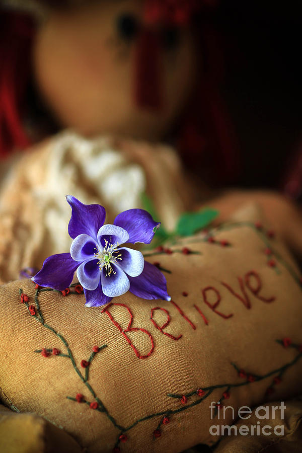 Dare of Believe Photograph by Brenda Giasson