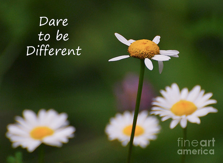 Dare To Be Different Photograph by Kerri Farley