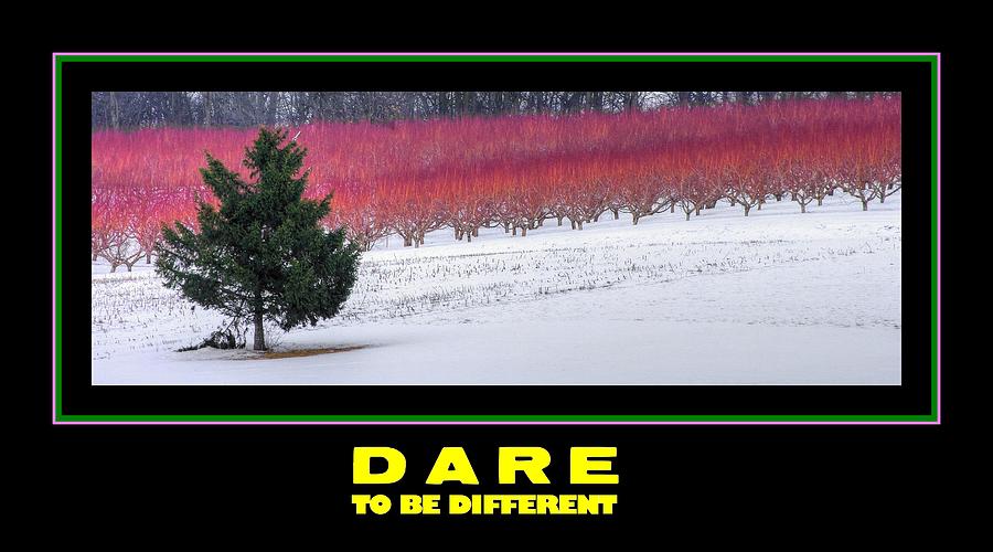 Dare To Be Different - Poster No. 1 Photograph by Michael Mazaika