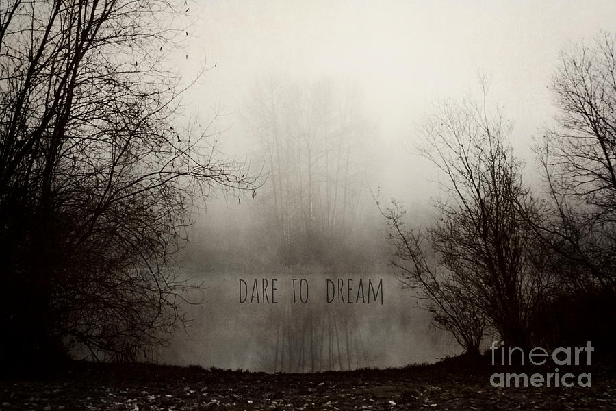 Dare to Dream Photograph by Sylvia Cook