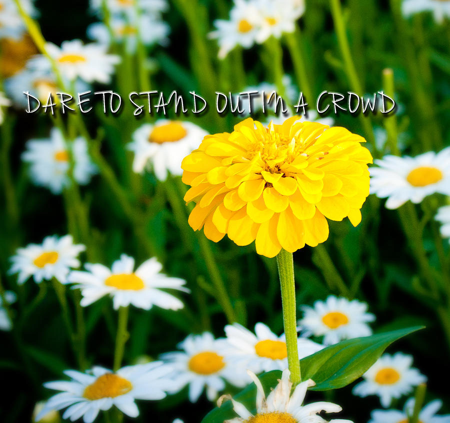 Nature Photograph - Dare to Stand Out in a Crowd by Virginia Folkman
