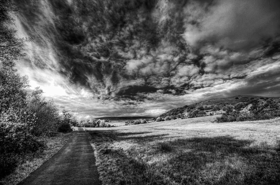 Tree Photograph - Dare Valley Country Park Monochrome by Steve Purnell