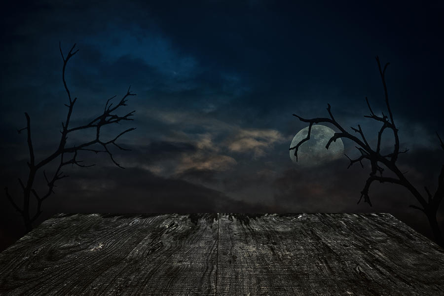 Dark background Photograph by Paulo Goncalves