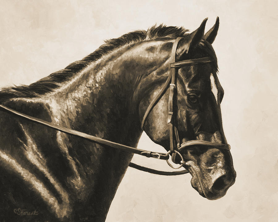 Dark Bay Dressage Horse Aged Photo Fx Painting