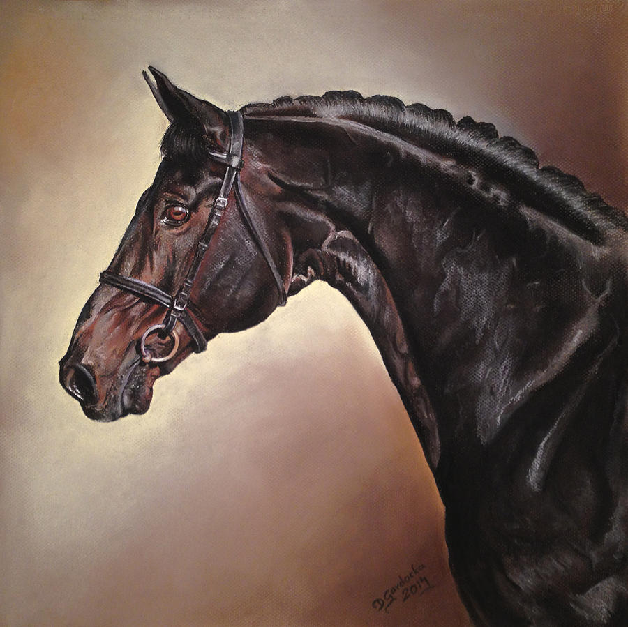 dark bay horse