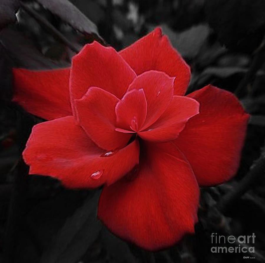 Dark Beauty Red Distorted Rose Digital Art by Elizabeth McTaggart
