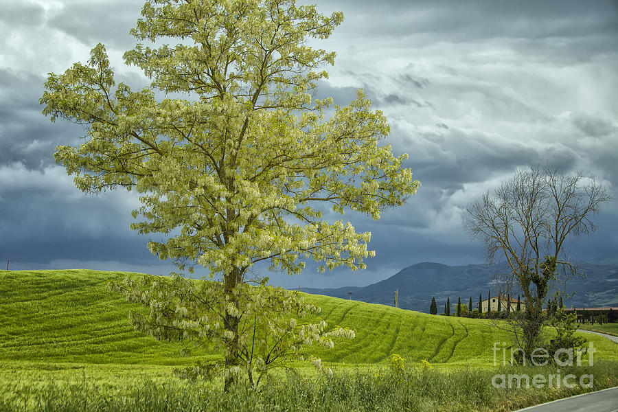 Tuscany in fickle spring Photograph by Patricia Hofmeester