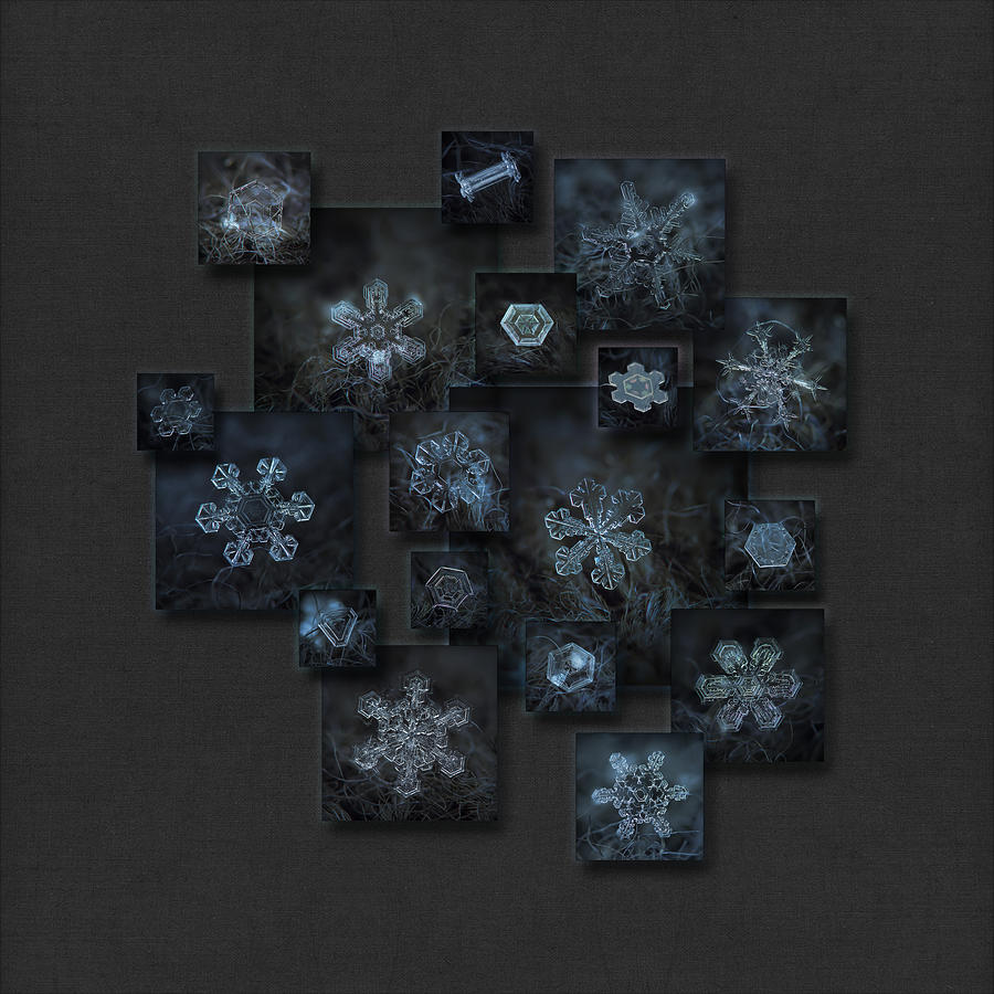 Winter Photograph - Snowflake collage - Dark crystals 2012-2014 by Alexey Kljatov