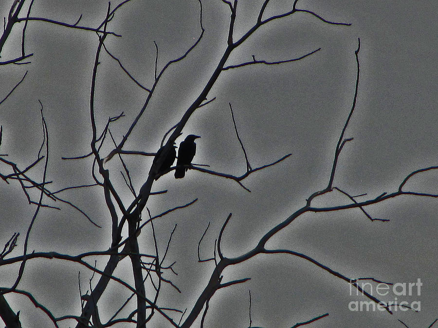 Tree Digital Art - Dark Day Birds by Minding My  Visions by Adri and Ray