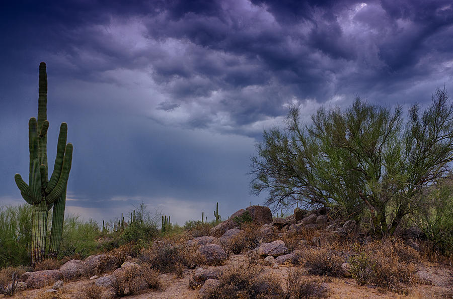 Nature Photograph - Dark Desert Skies  by Saija Lehtonen