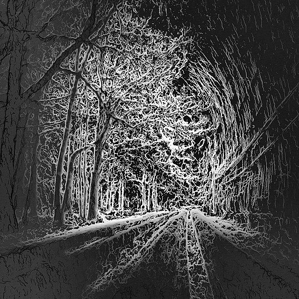 Nature Photograph - Dark Drive In The Tree Clustered Road by Miki Torres