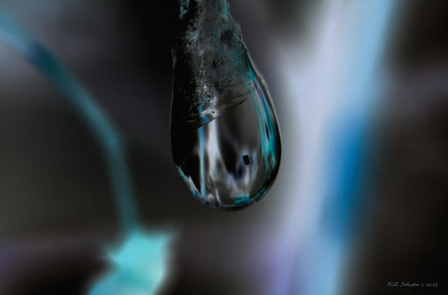 Dark Drop Photograph by WB Johnston