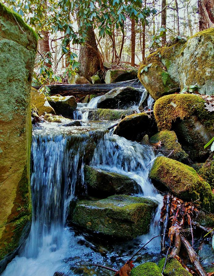 Dark Hollow Waterfall Photograph by Anthony Thomas | Fine Art America