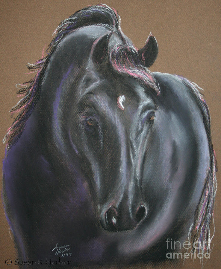 Dark Horse Pastel by Susan Herber - Fine Art America