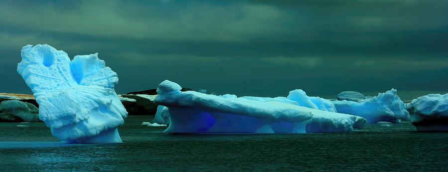 Dark Icebergs Photograph by Amanda Stadther