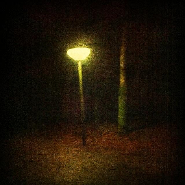 Dark In The Park. Streetlight And Tree Photograph by Ellen Van Slagmaat