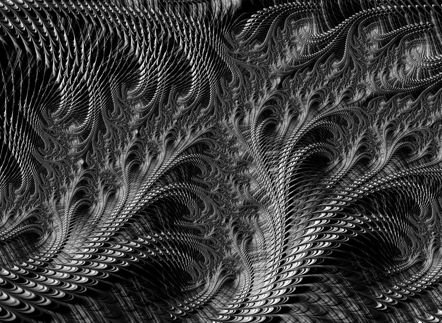Dark loops - black and white fractal abstract Digital Art by Matthias Hauser