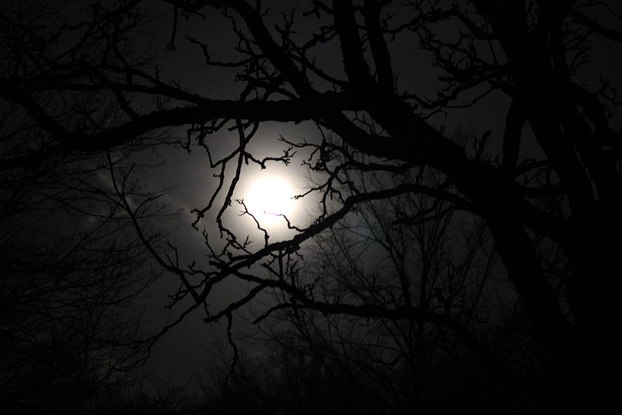 dark moonlight lady black and white