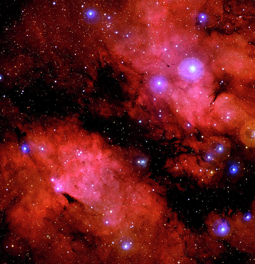 Dark Nebula Ldn 889 Photograph by Canada-france-hawaii Telescope/jean-charles Cuillandre/science Photo Library