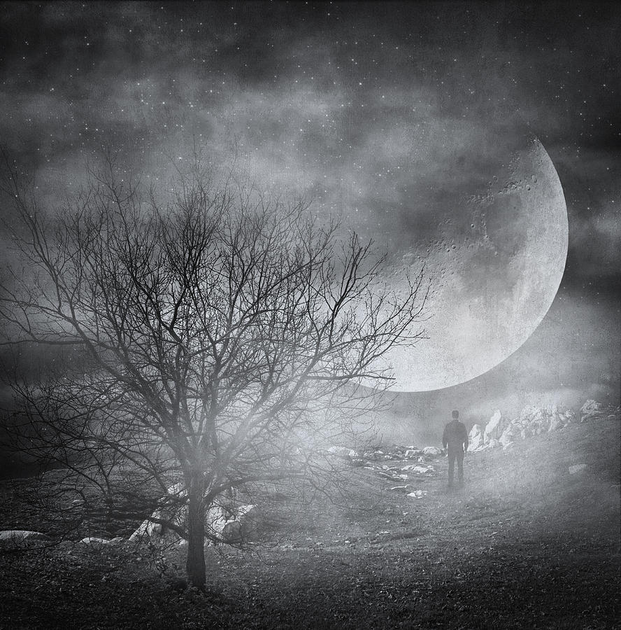 Dark Night Sky Paradox Photograph by Taylan Apukovska