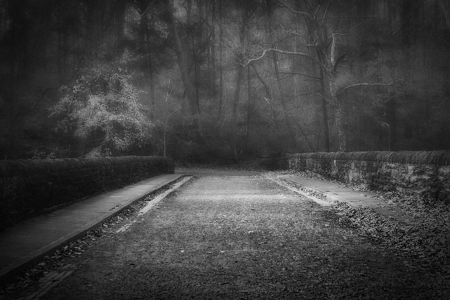 Landscape Photograph - Dark path by Rob Dietrich