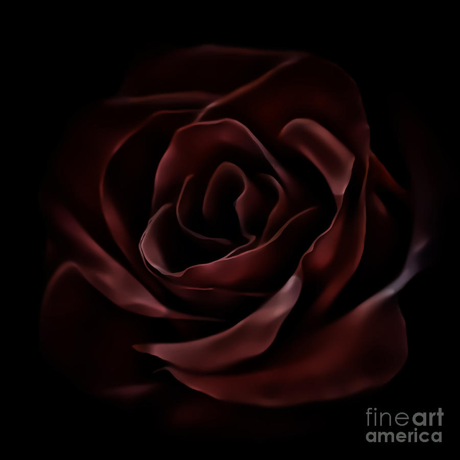 Dark Red Rose 1200 Photograph by Walt Foegelle