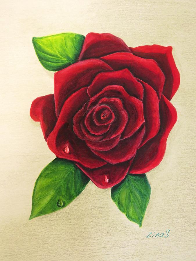 Dark Red Rose Painting by Zina Stromberg