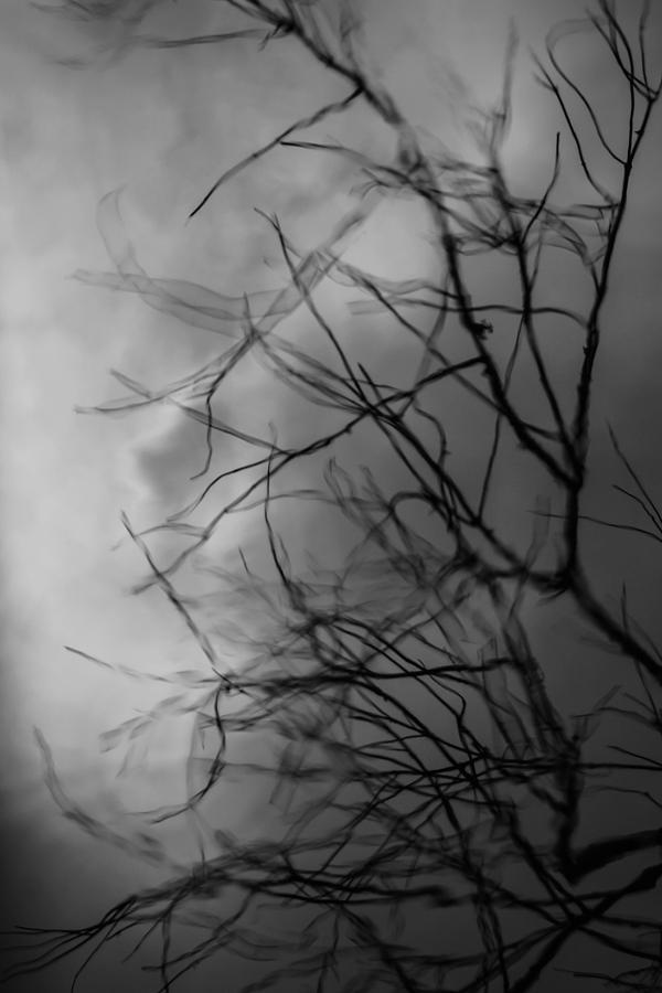 Dark Reflections Photograph by Kaitlyn Stone - Fine Art America